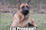 Aura Pregnant