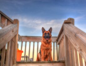 Aura at the beach June 2014