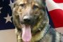 Spokane County Sheriff's German Shepherd Dog Gunnar on Live PD