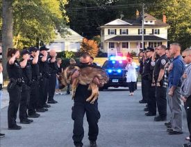 Middletown Police say Goodbye to K9 Hunter, a German Shepherd who Served Connecticut