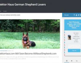 What Happened to Hektor Haus German Shepherds (hektorhaus.com)?