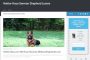What Happened to Hektor Haus German Shepherds (hektorhaus.com)?