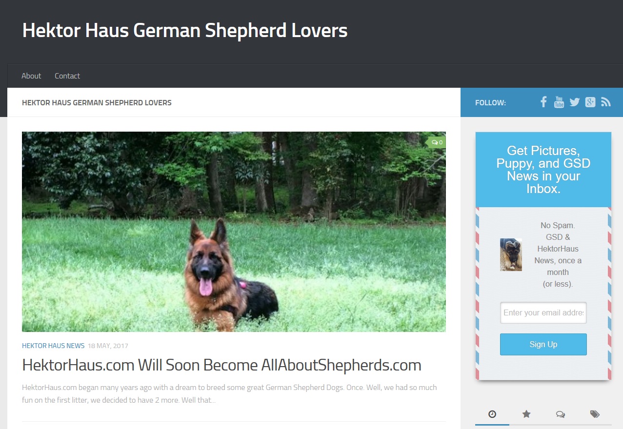 German shepherd lovers hot sale website