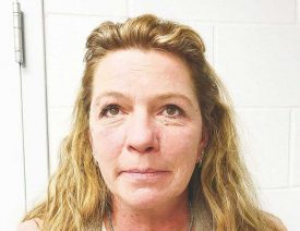 Dozens of Puppies Dead, Woman Arrested for 22 German Shepherds Left in Freezing Temperatures