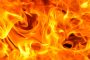 Hero German Shepherd Puppy Saves Wyoming Man From Fire and is Put Up for Adoption