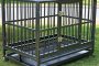 Should I Crate Train my German Shepherd?