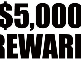 German Shepherd Killed - $5,000 Reward Offered to Locate South LA Shooter