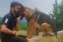 Italy's Hero Dog, A German Shepherd Named Kaos, Found Poisoned