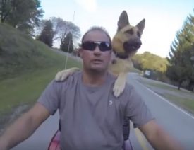 Pennsylvania Pup "Nakita", a German Shepherd, Rides a Motorcycle
