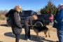 Kansas Woman Reunites With German Shepherd After An Eight Year Separation