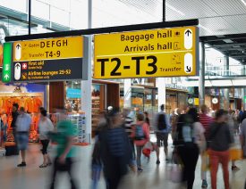 TSA Will Reduce Number Of German Shepherds On Its Crew