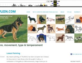 What Happened to Shawlein.com?