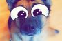 Big Eye Snapchat Dog Filter and How To Use It