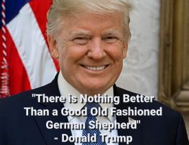 President Donald Trump Praises German Shepherd Dogs at MAGA Rally in El Paso Texas on February 11, 2019