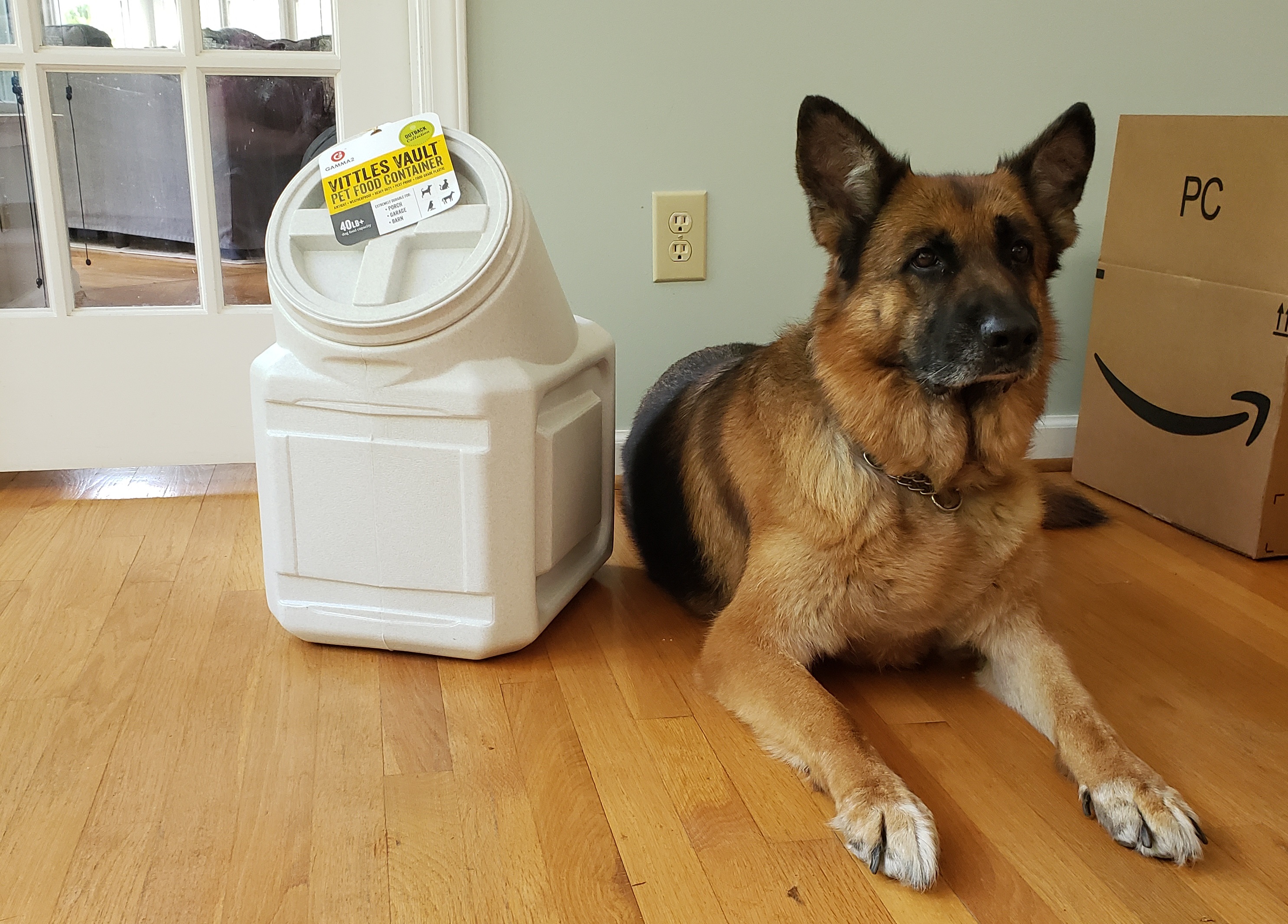 Best Dry Dog Food Container for German Shepherds And All Other