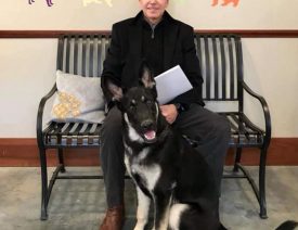 Biden’s Two German Shepherd Dogs are Headed to the White House